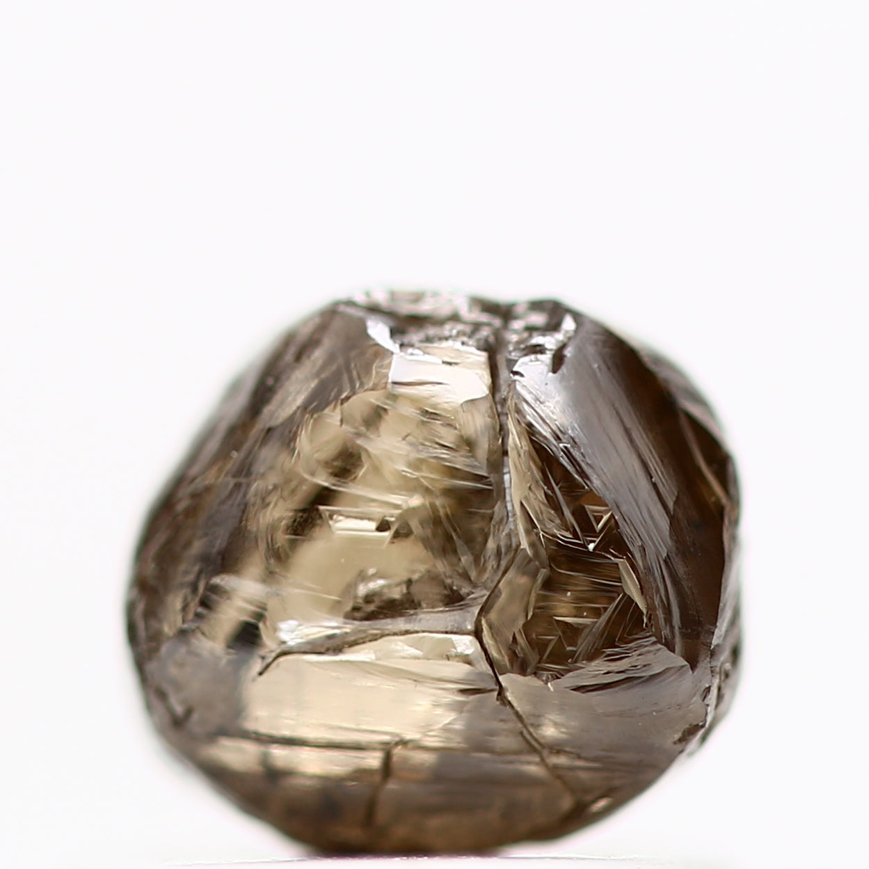 ClariOLED Transparent OLED Display price