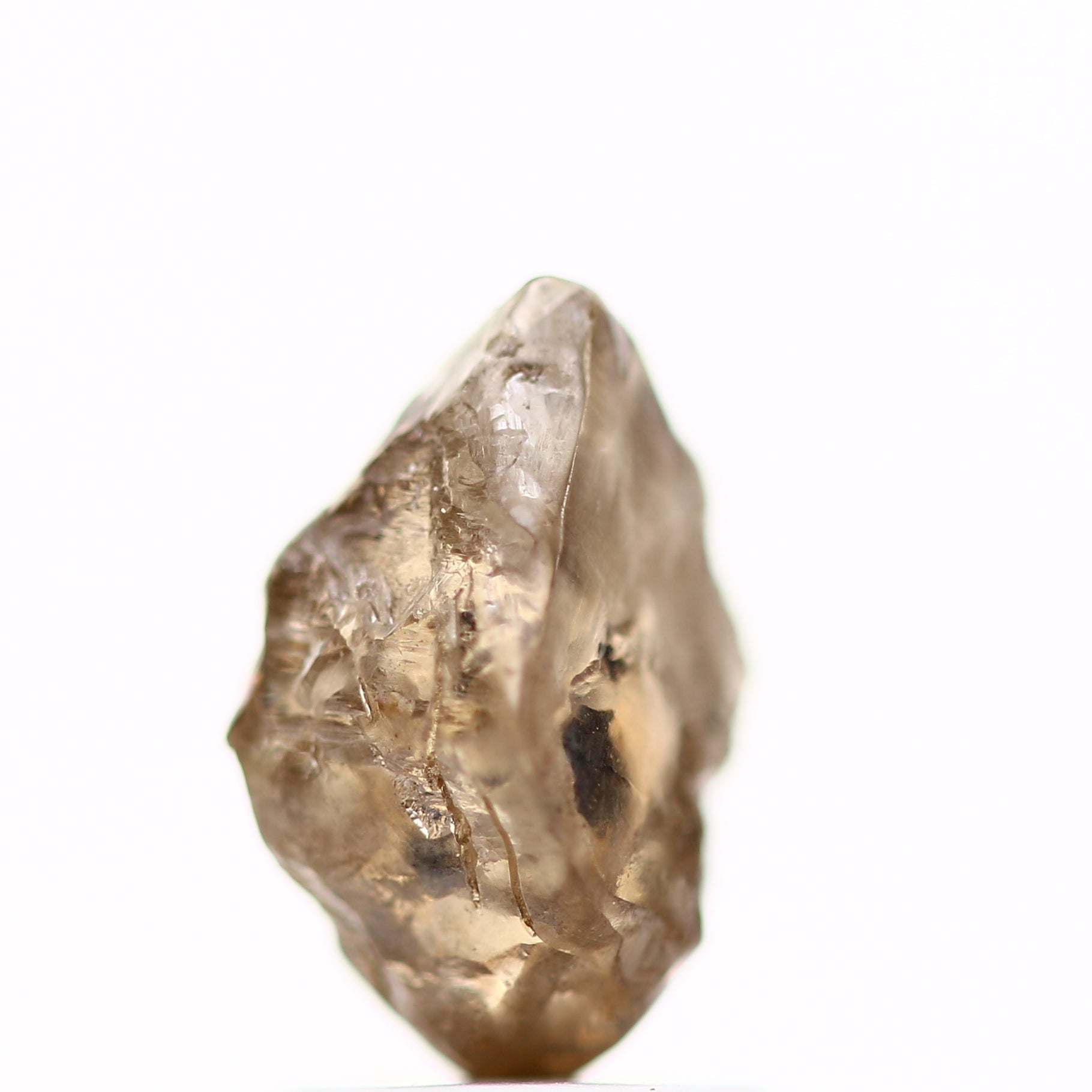 ClariOLED Transparent OLED Display price