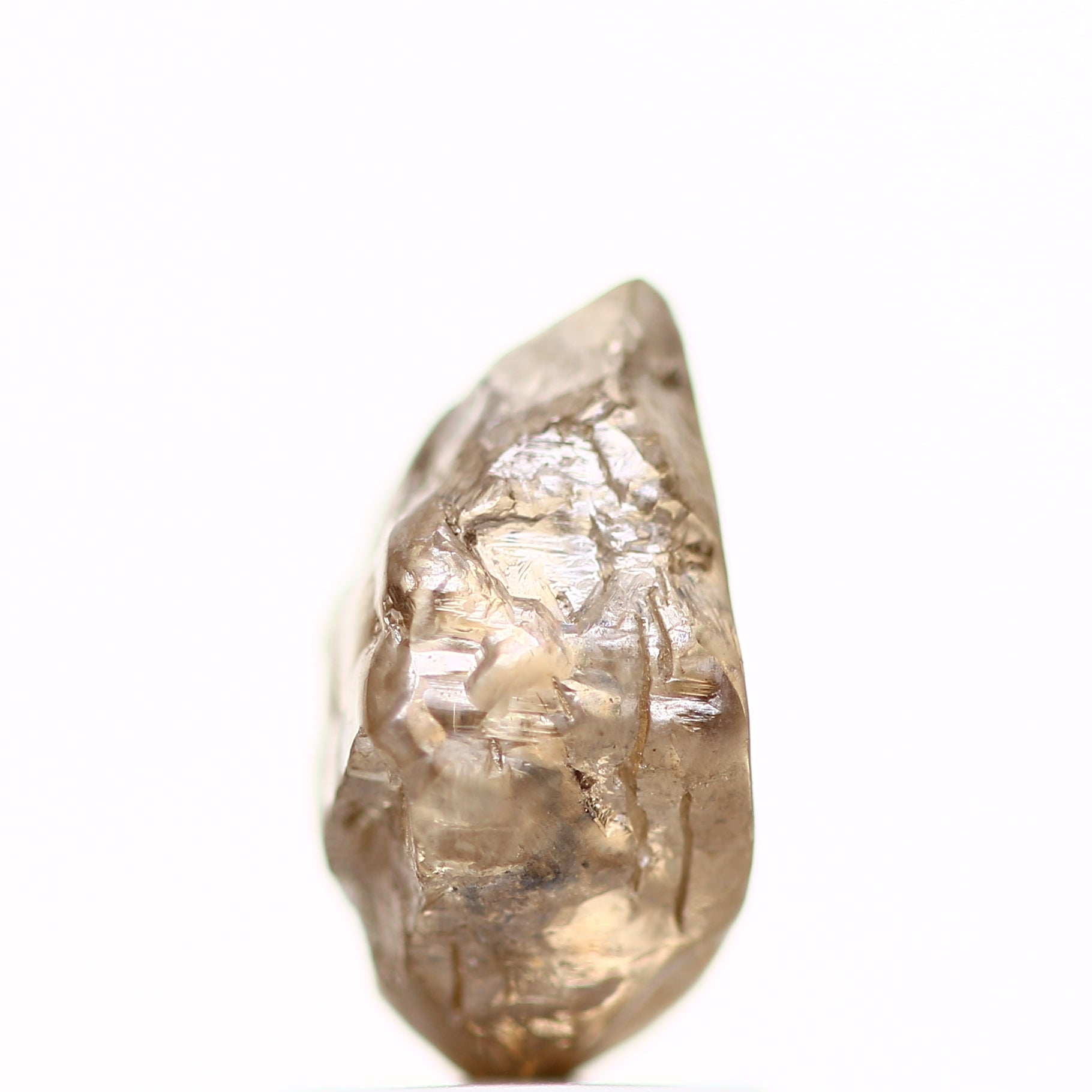 ClariOLED Transparent OLED Display price