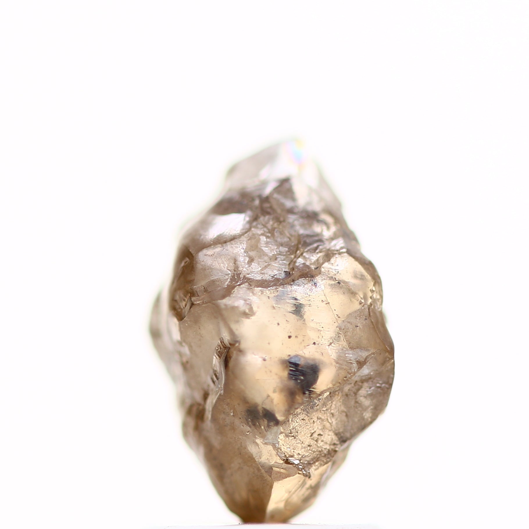 ClariOLED Transparent OLED Display price