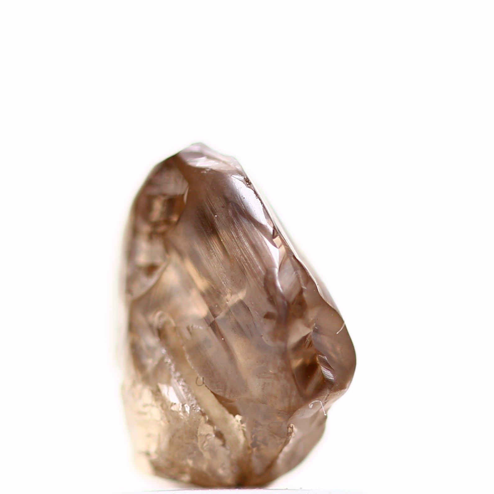 ClariOLED Transparent OLED Display price