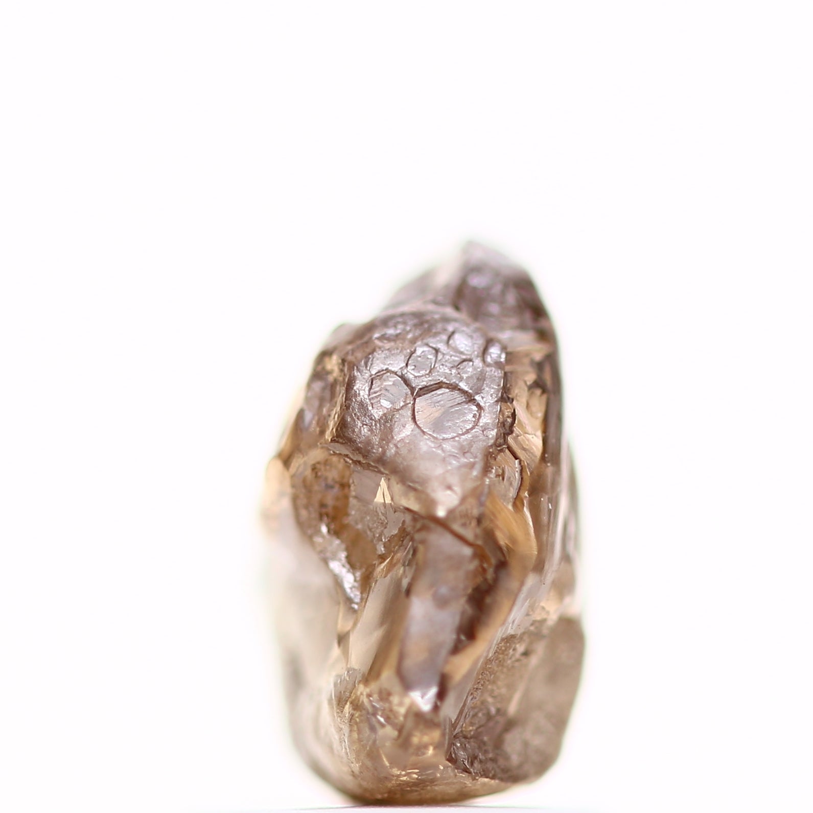 ClariOLED Transparent OLED Display price