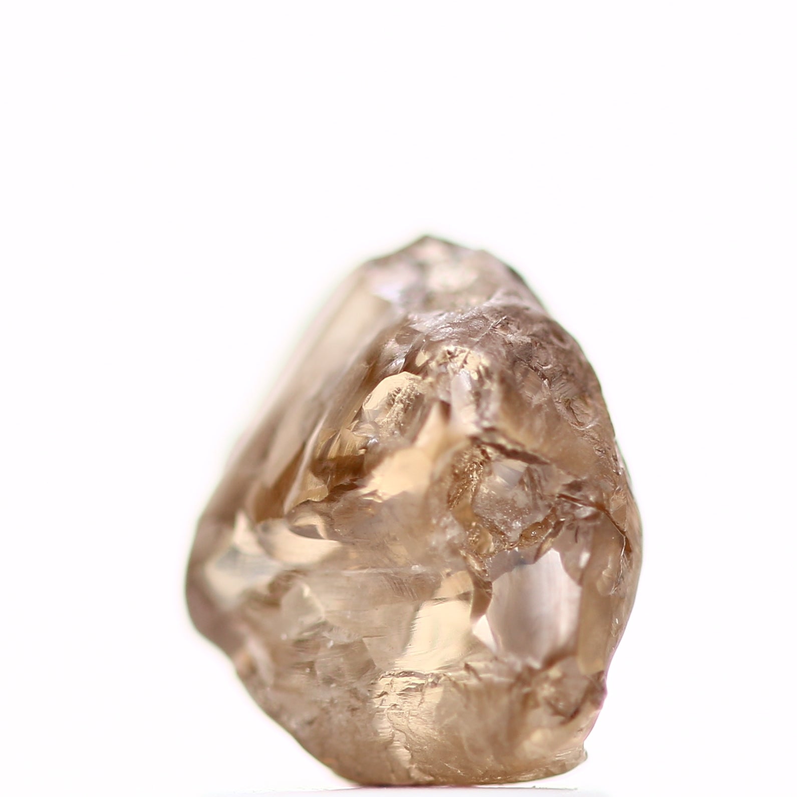 ClariOLED Transparent OLED Display price