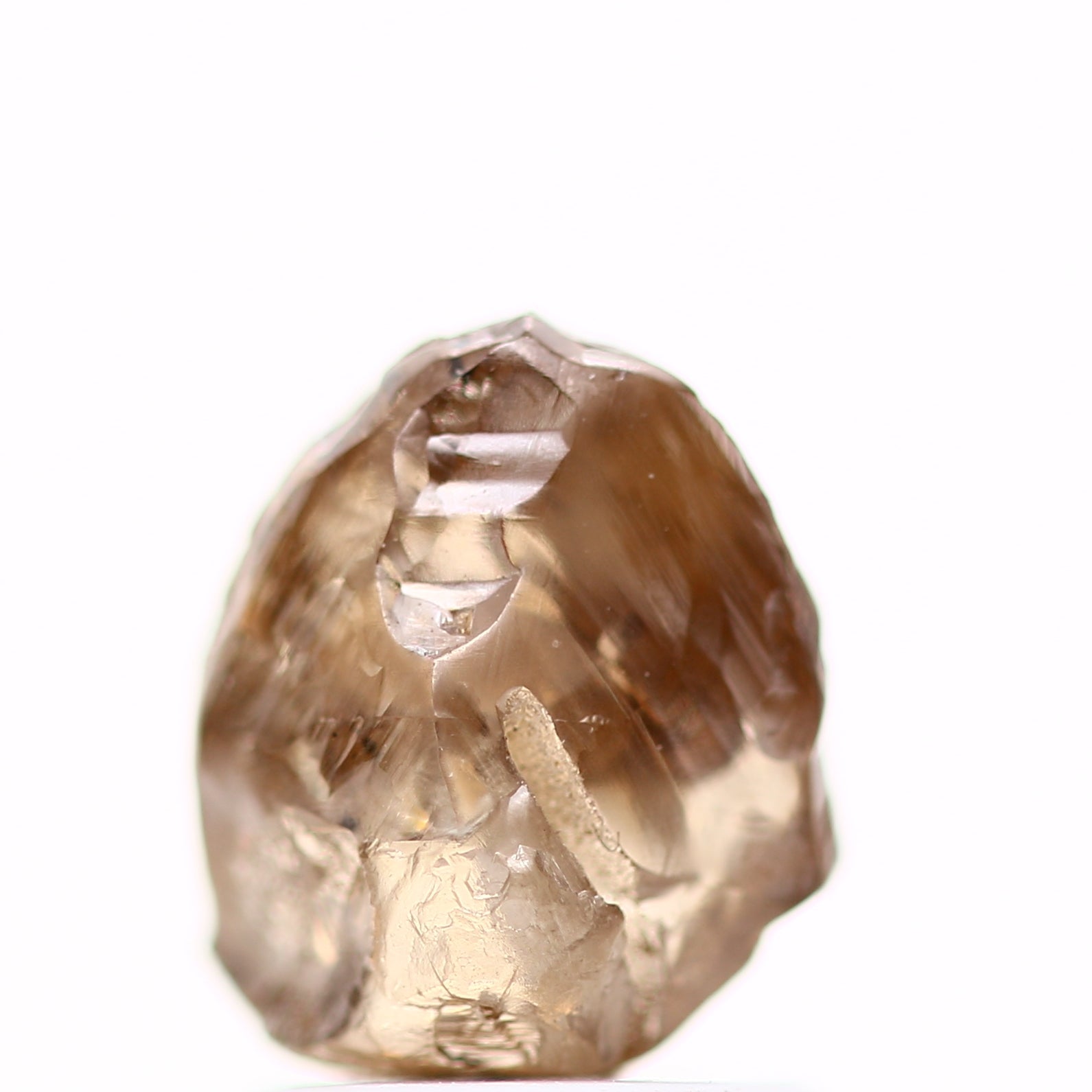 ClariOLED Transparent OLED Display price