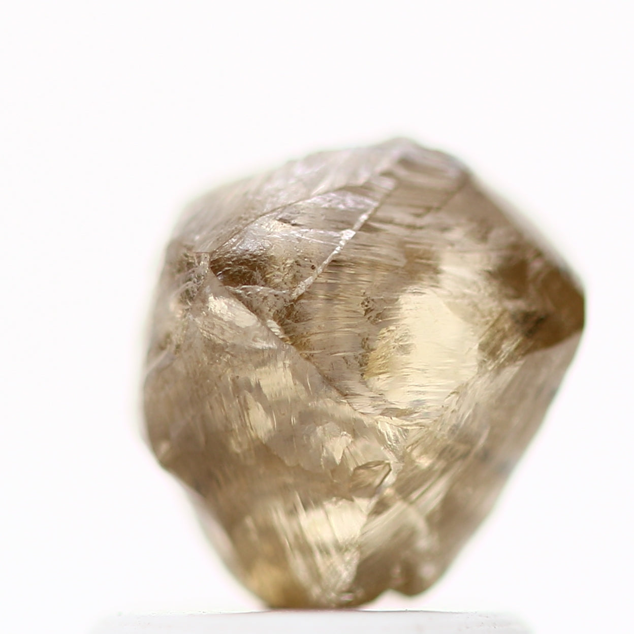 ClariOLED Transparent OLED Display price