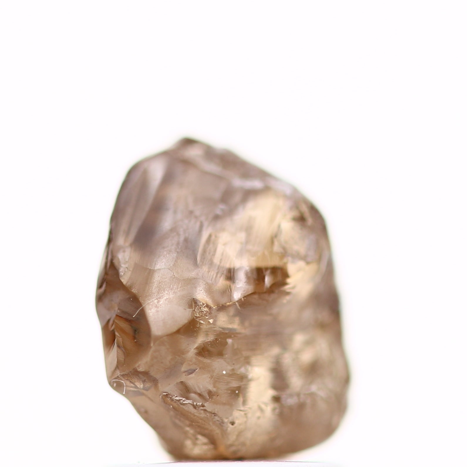 ClariOLED Transparent OLED Display price