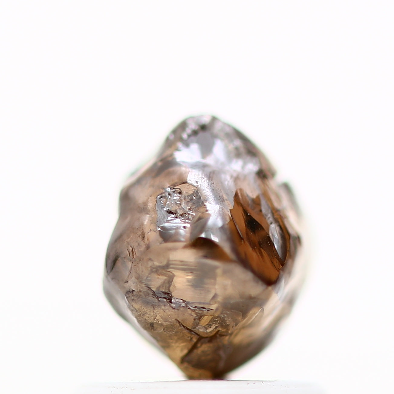 ClariOLED Transparent OLED Display price