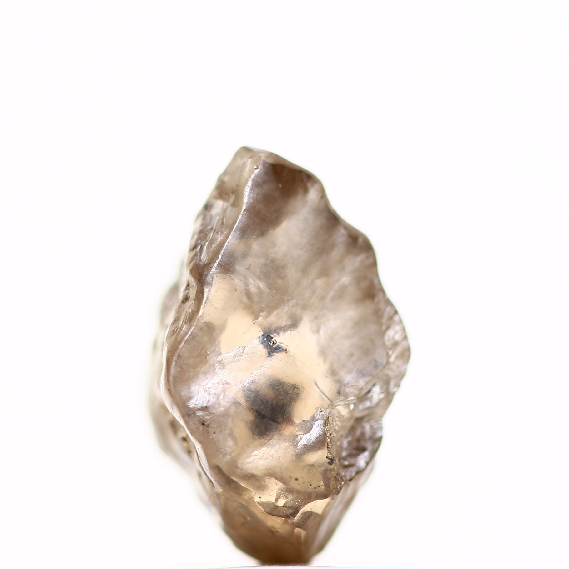 ClariOLED Transparent OLED Display price