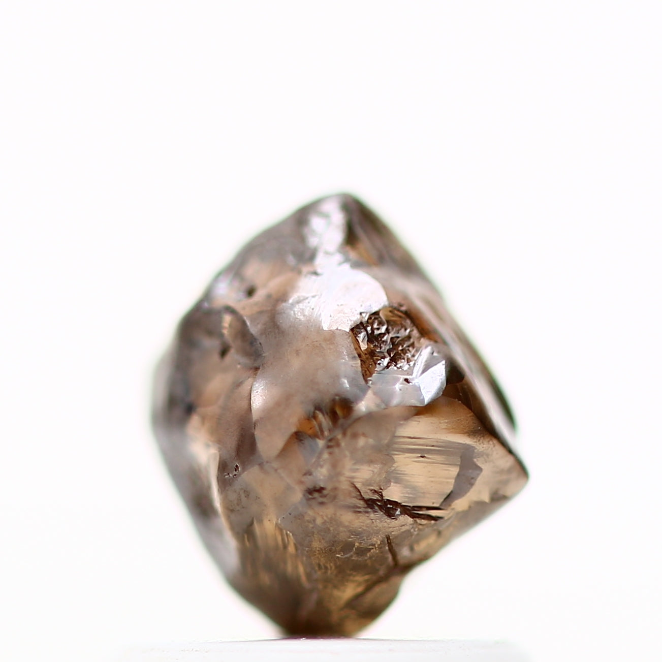 ClariOLED Transparent OLED Display price