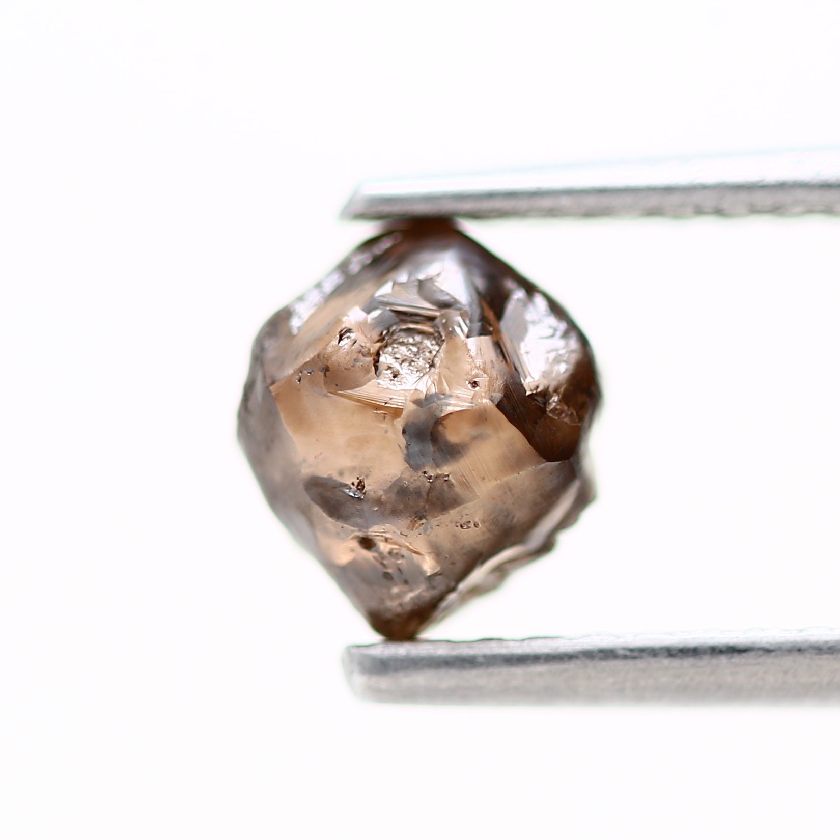 ClariOLED Transparent OLED Display price