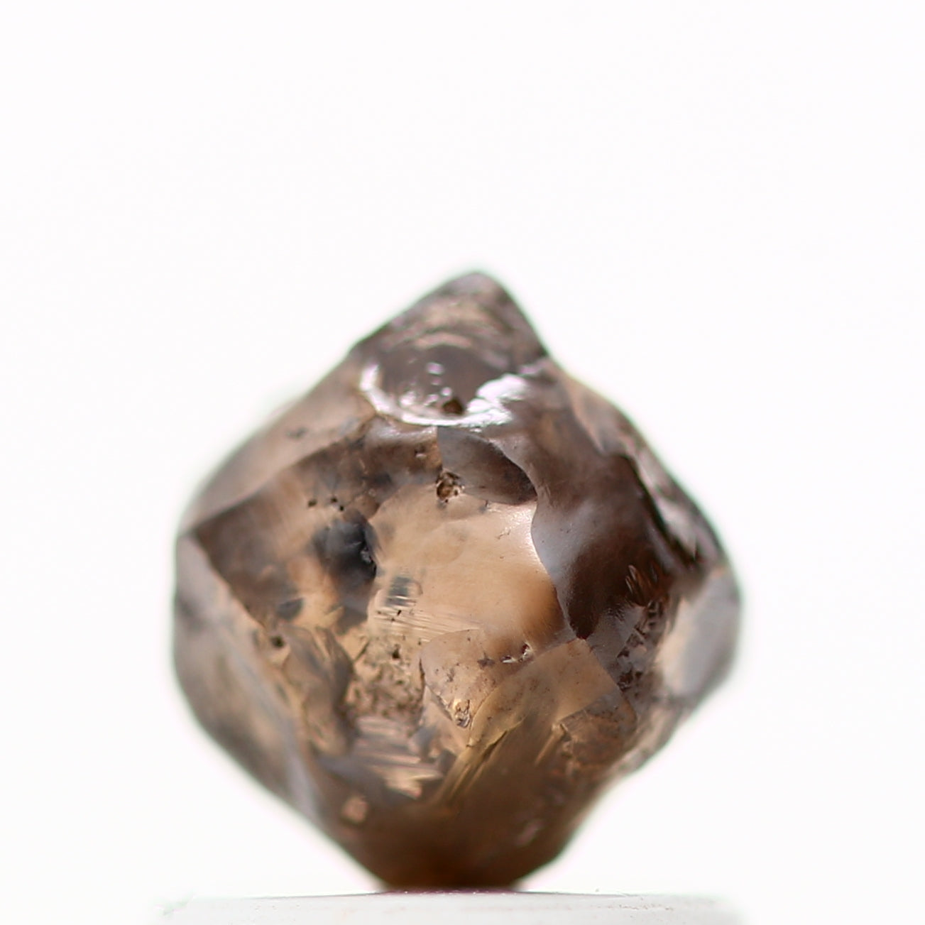 ClariOLED Transparent OLED Display price