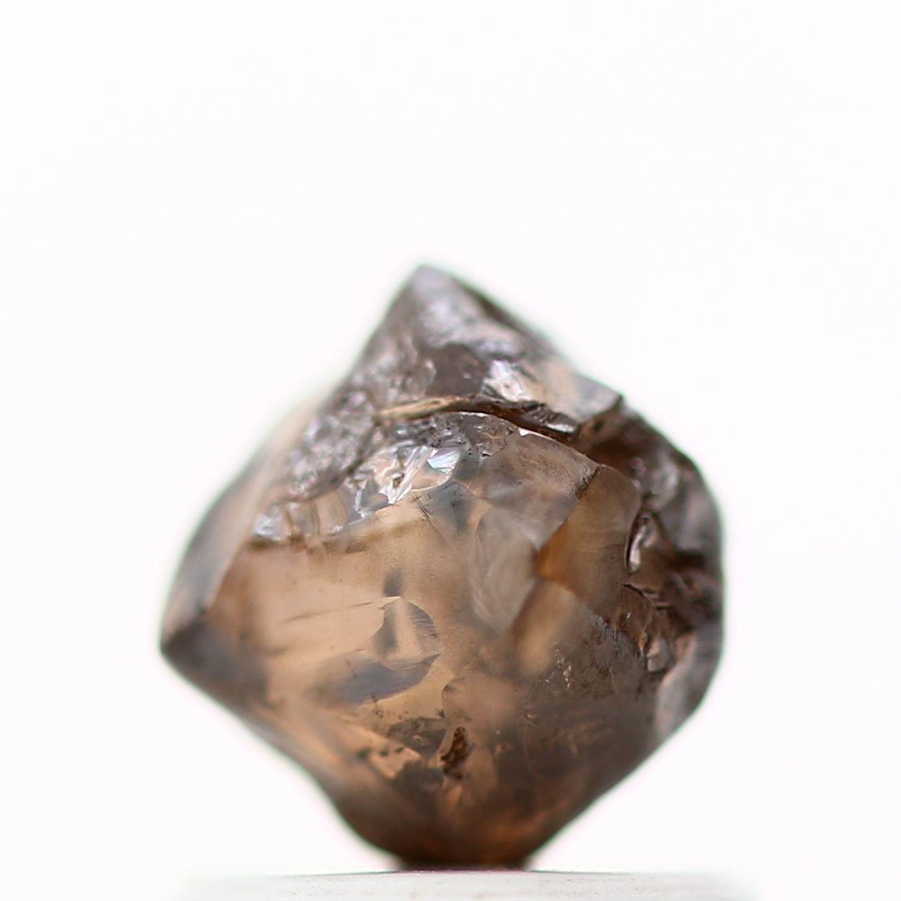 ClariOLED Transparent OLED Display price