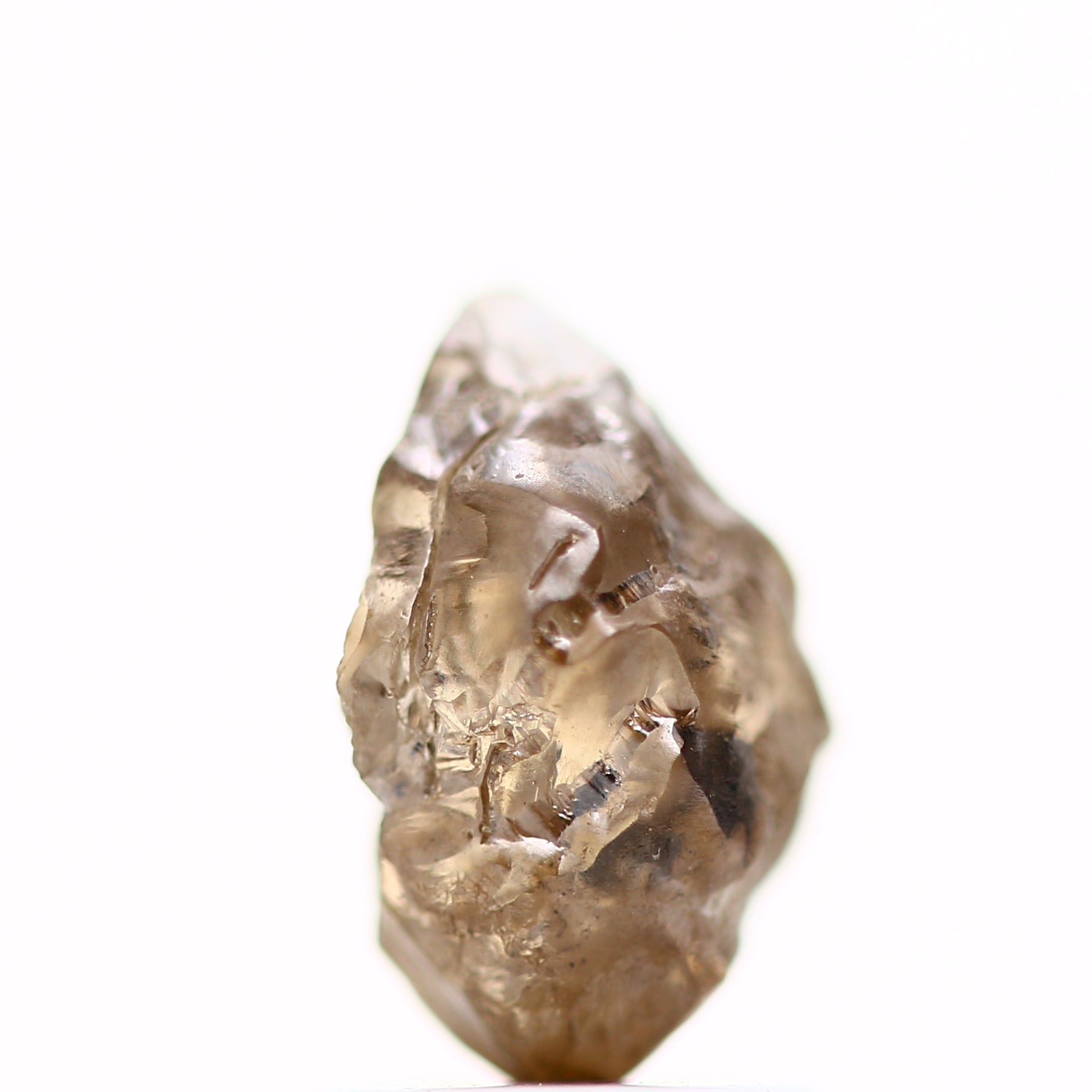 ClariOLED Transparent OLED Display price