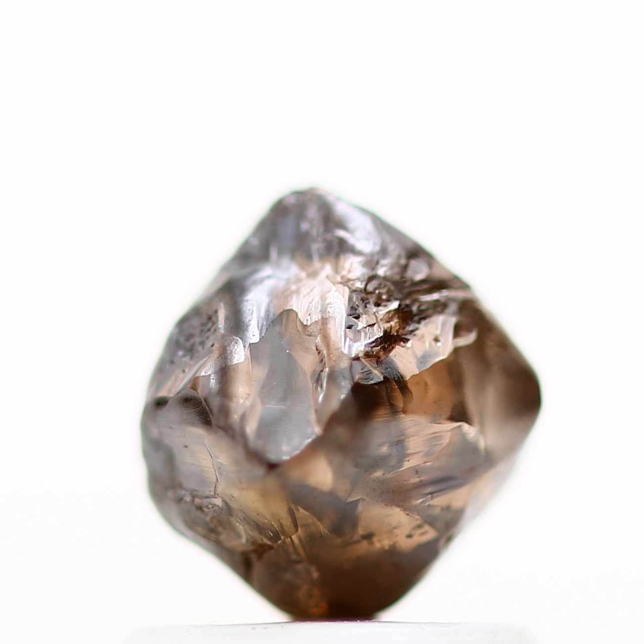 ClariOLED Transparent OLED Display price