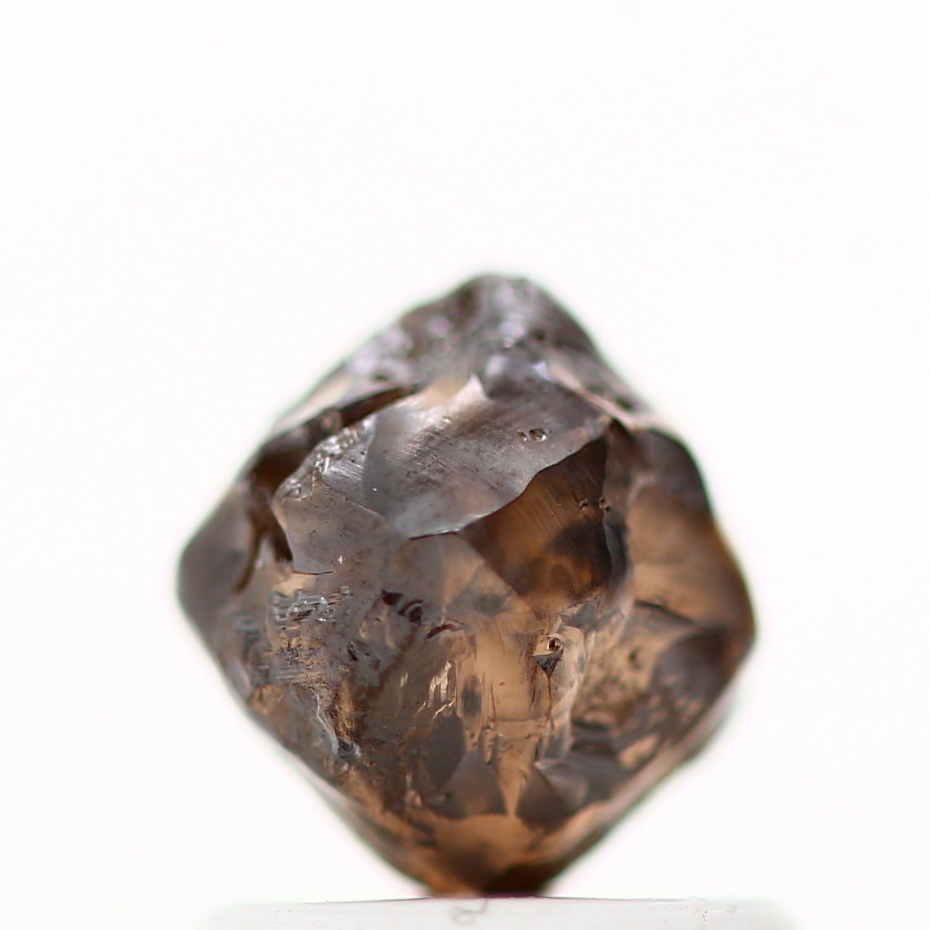 ClariOLED Transparent OLED Display price