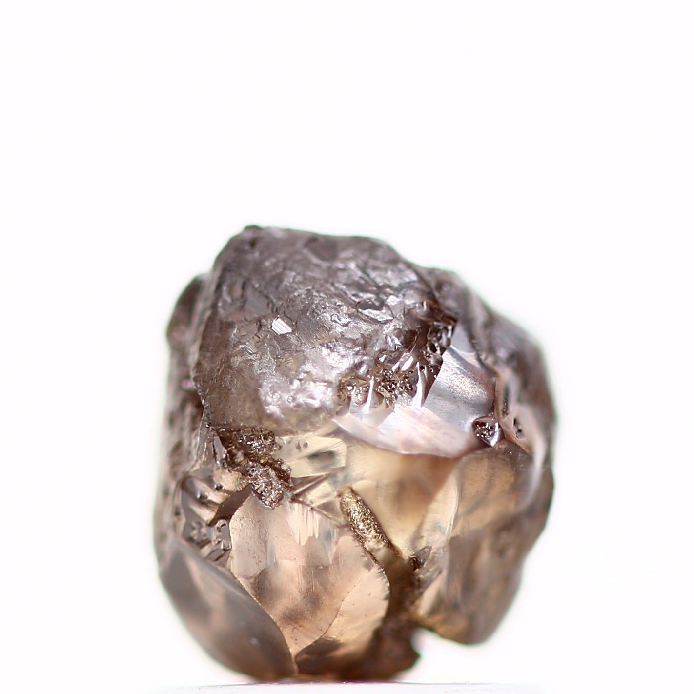 ClariOLED Transparent OLED Display price