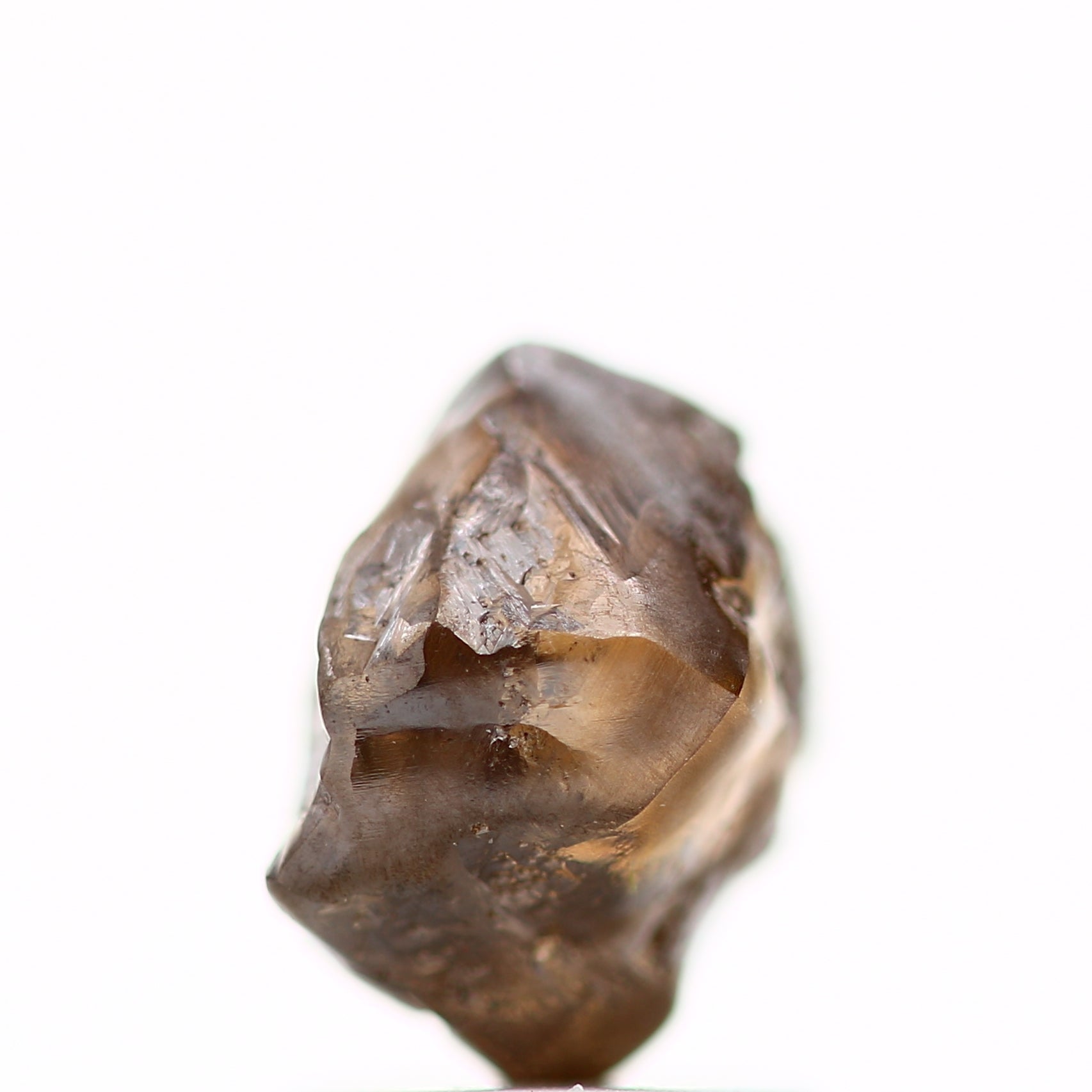 ClariOLED Transparent OLED Display price