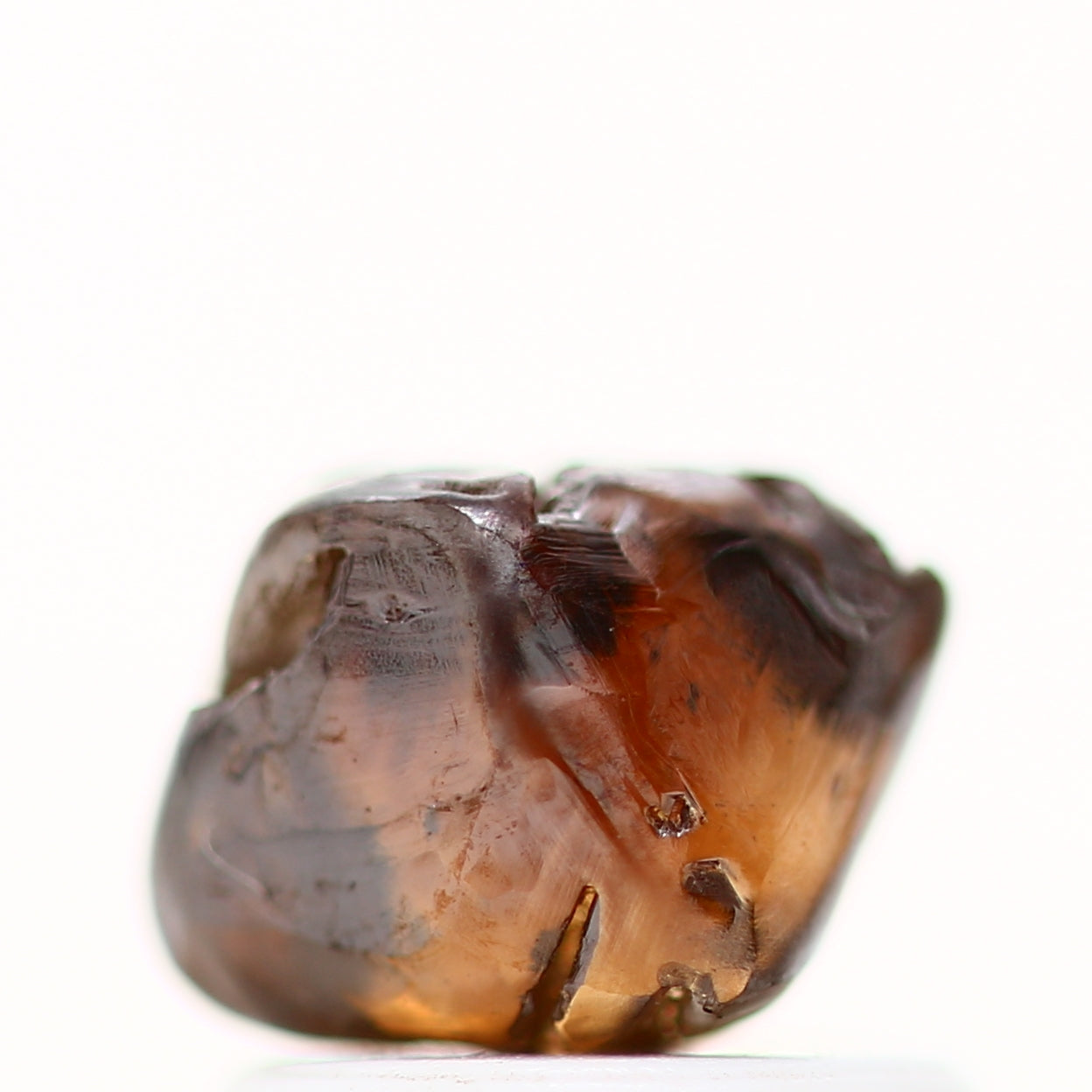 ClariOLED Transparent OLED Display price