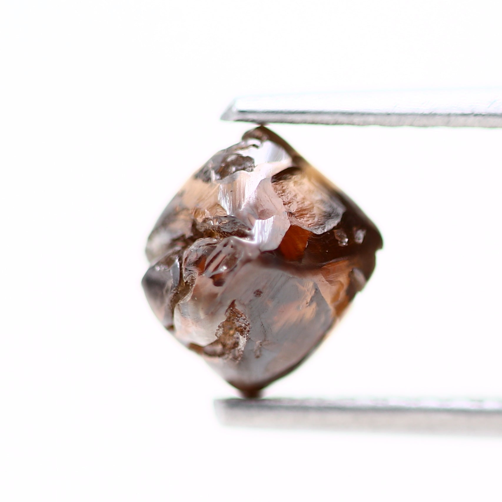 ClariOLED Transparent OLED Display price