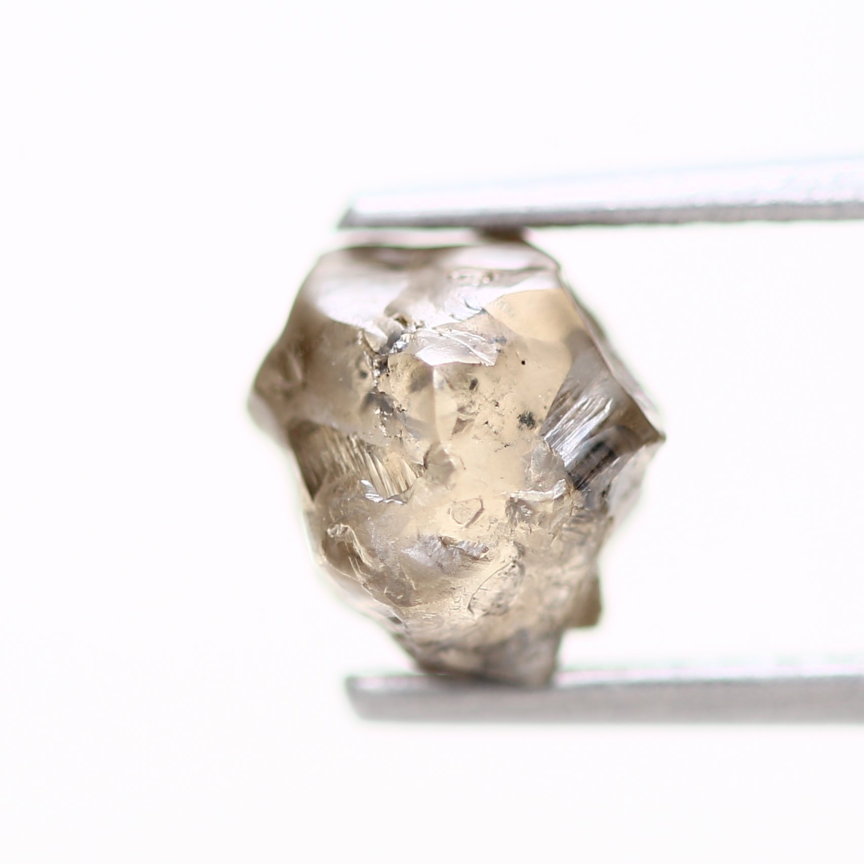 ClariOLED Transparent OLED Display price