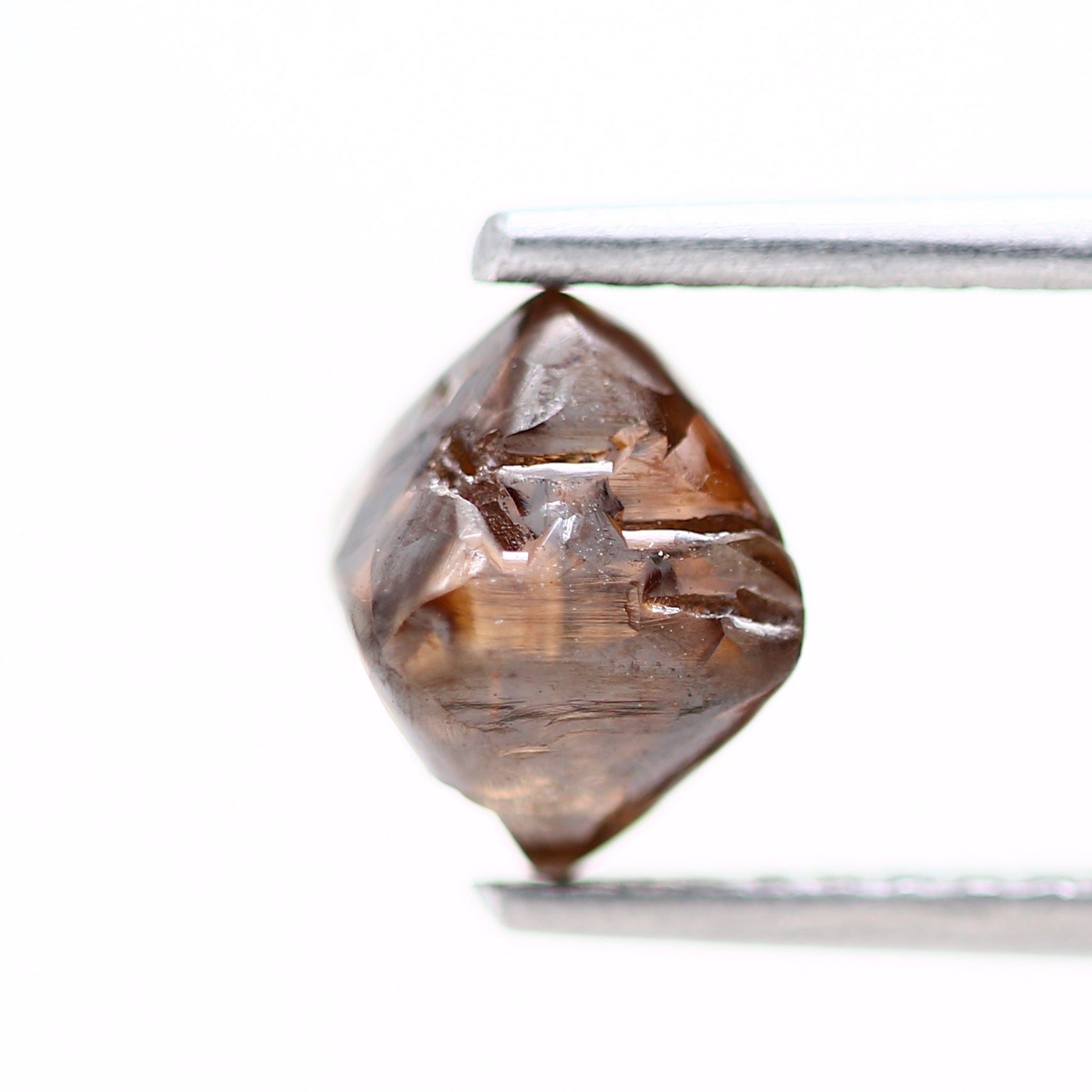 ClariOLED Transparent OLED Display price