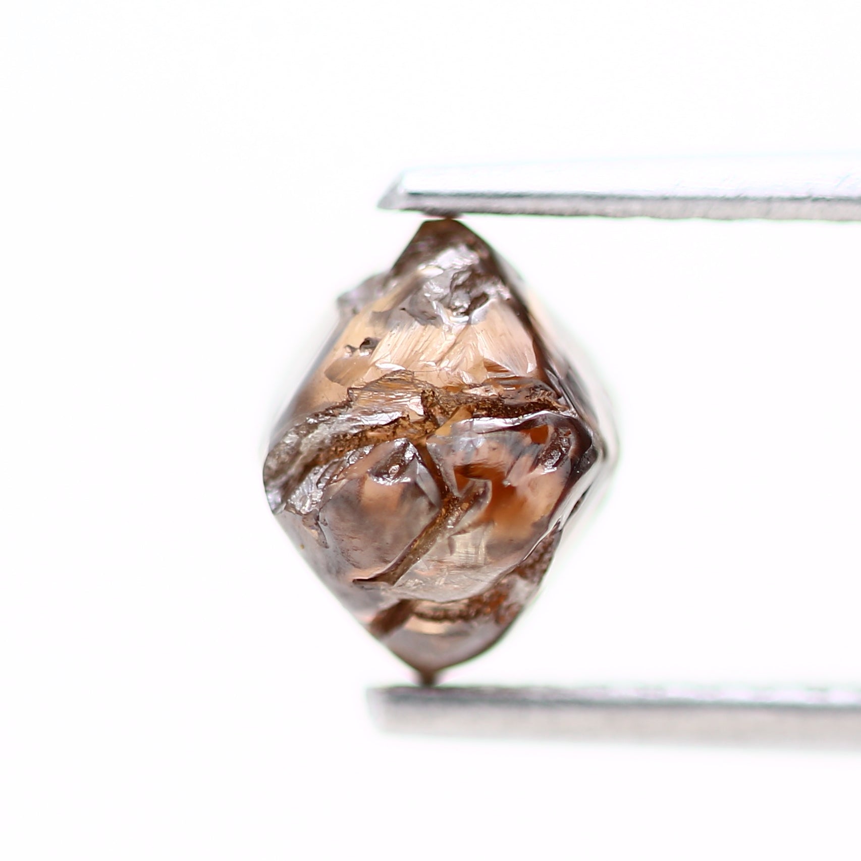 ClariOLED Transparent OLED Display price