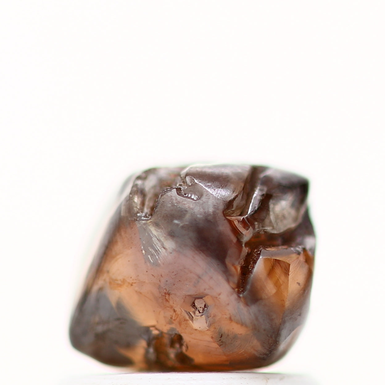 ClariOLED Transparent OLED Display price