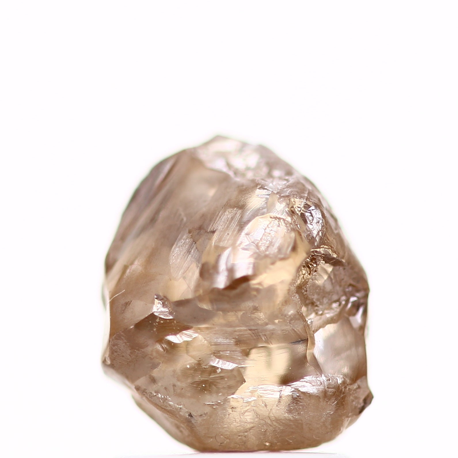 ClariOLED Transparent OLED Display price