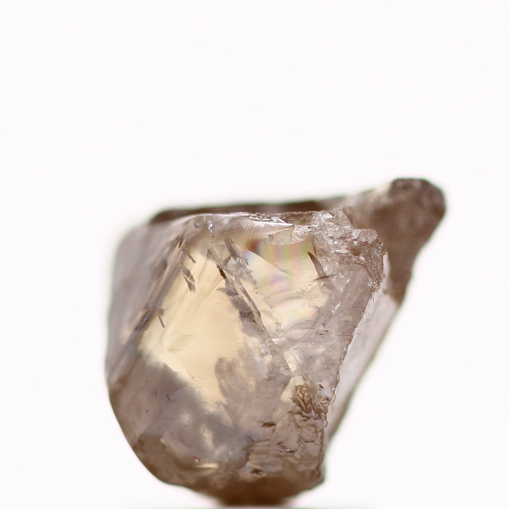 ClariOLED Transparent OLED Display price