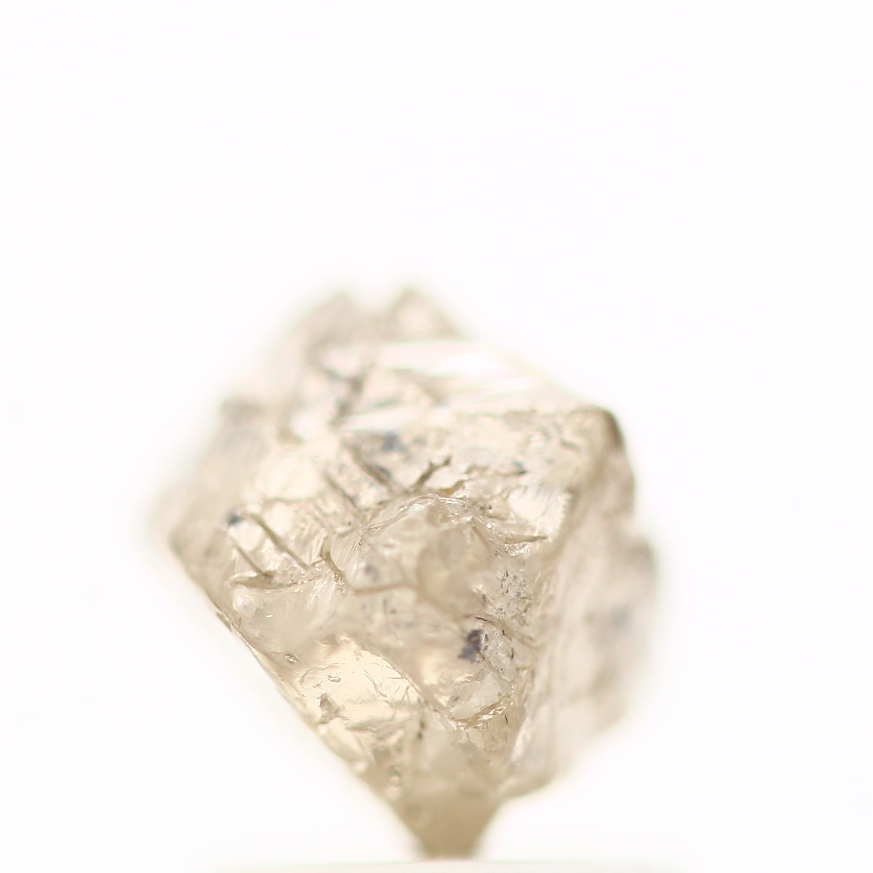 ClariOLED Transparent OLED Display price