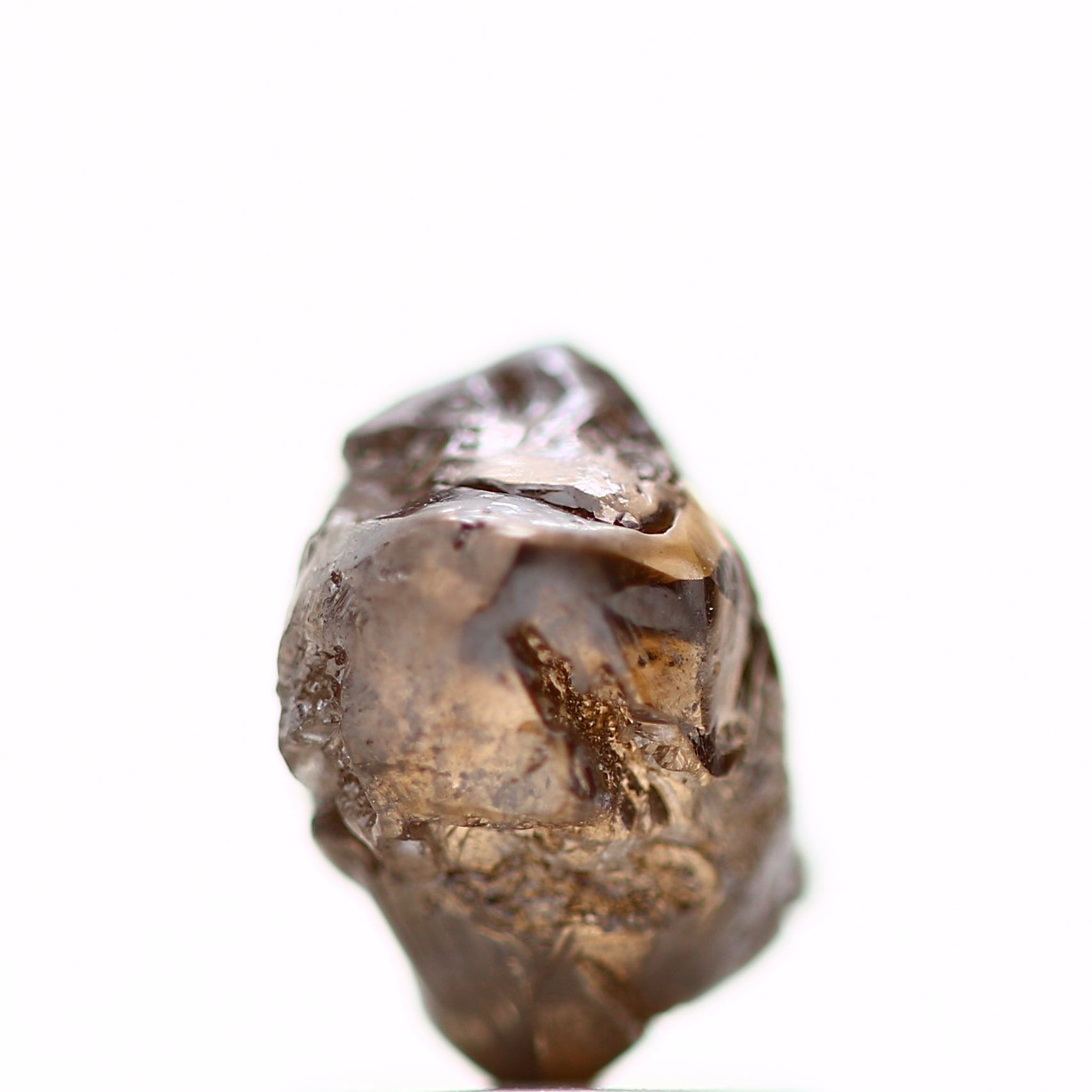 ClariOLED Transparent OLED Display price