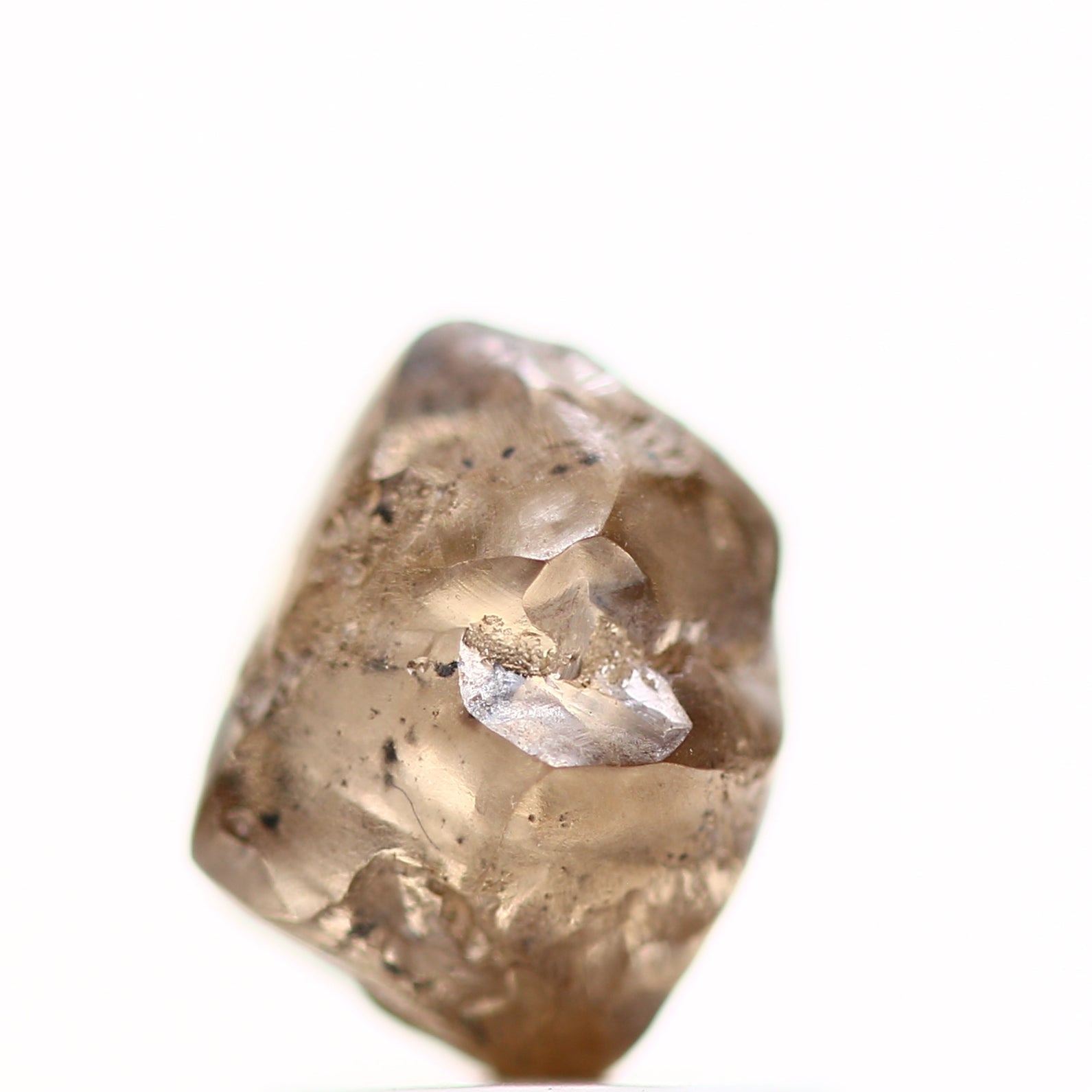 ClariOLED Transparent OLED Display price