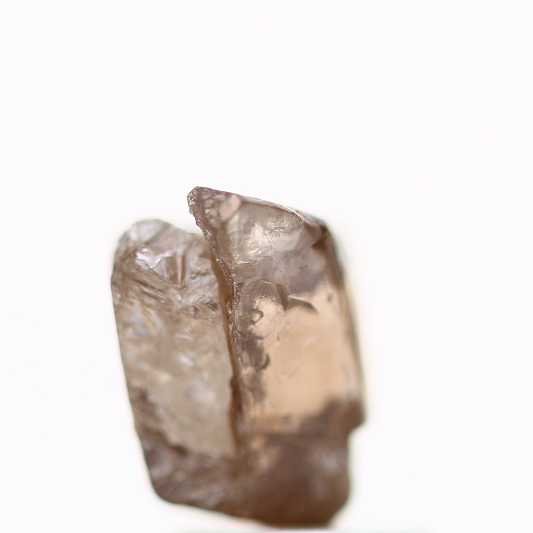 ClariOLED Transparent OLED Display price