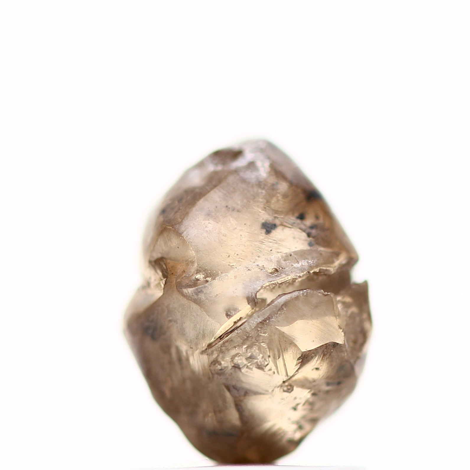 ClariOLED Transparent OLED Display price