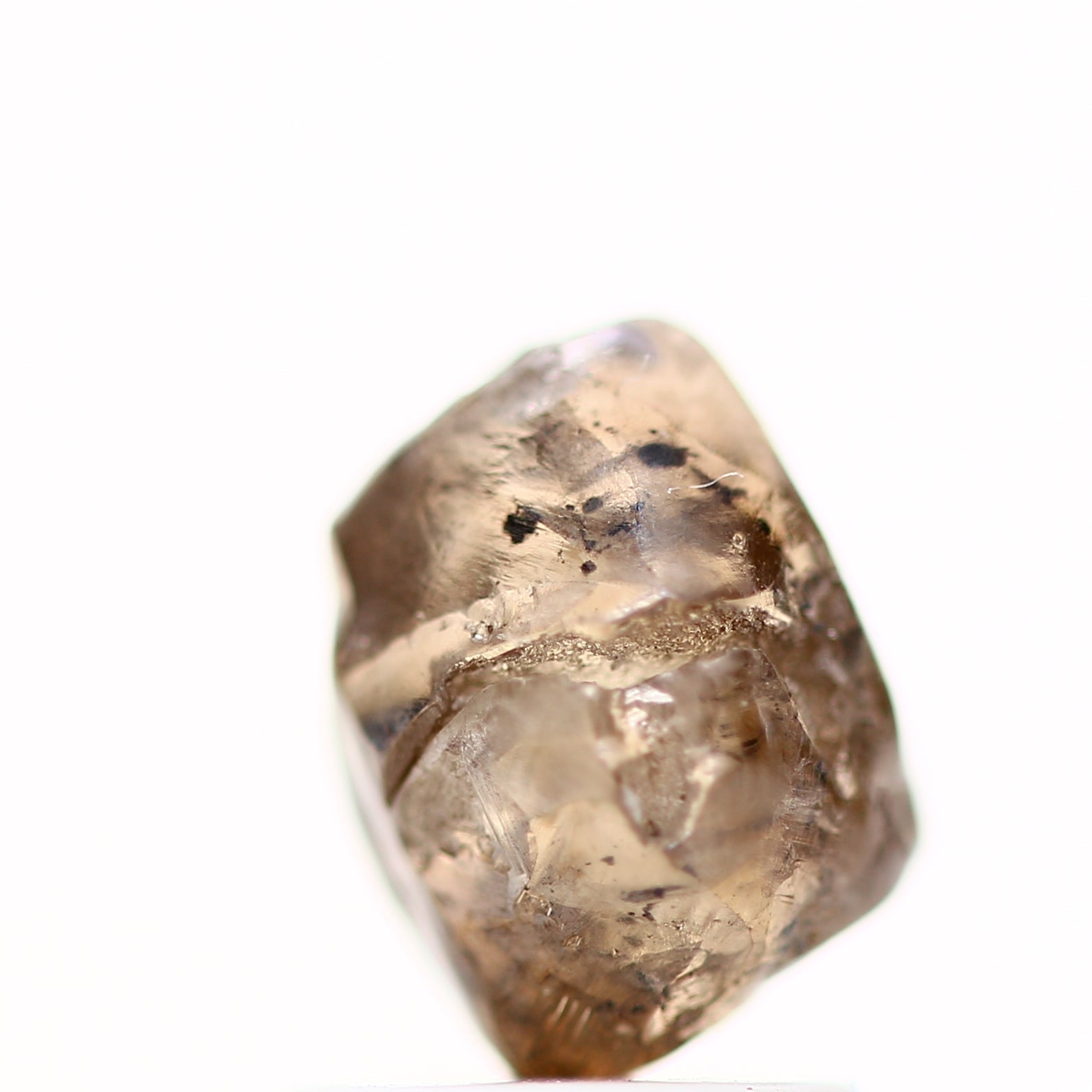 ClariOLED Transparent OLED Display price