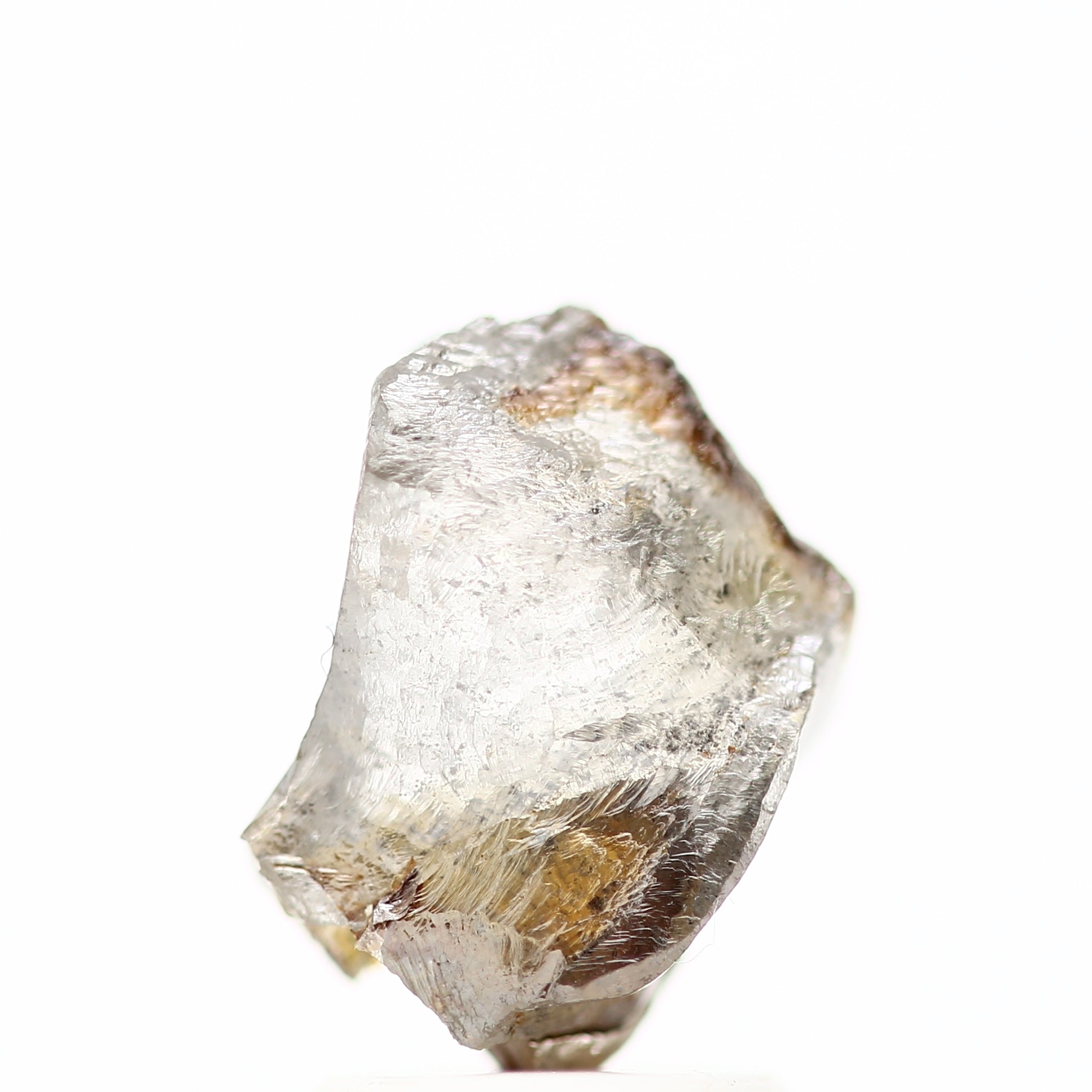 ClariOLED Transparent OLED Display price