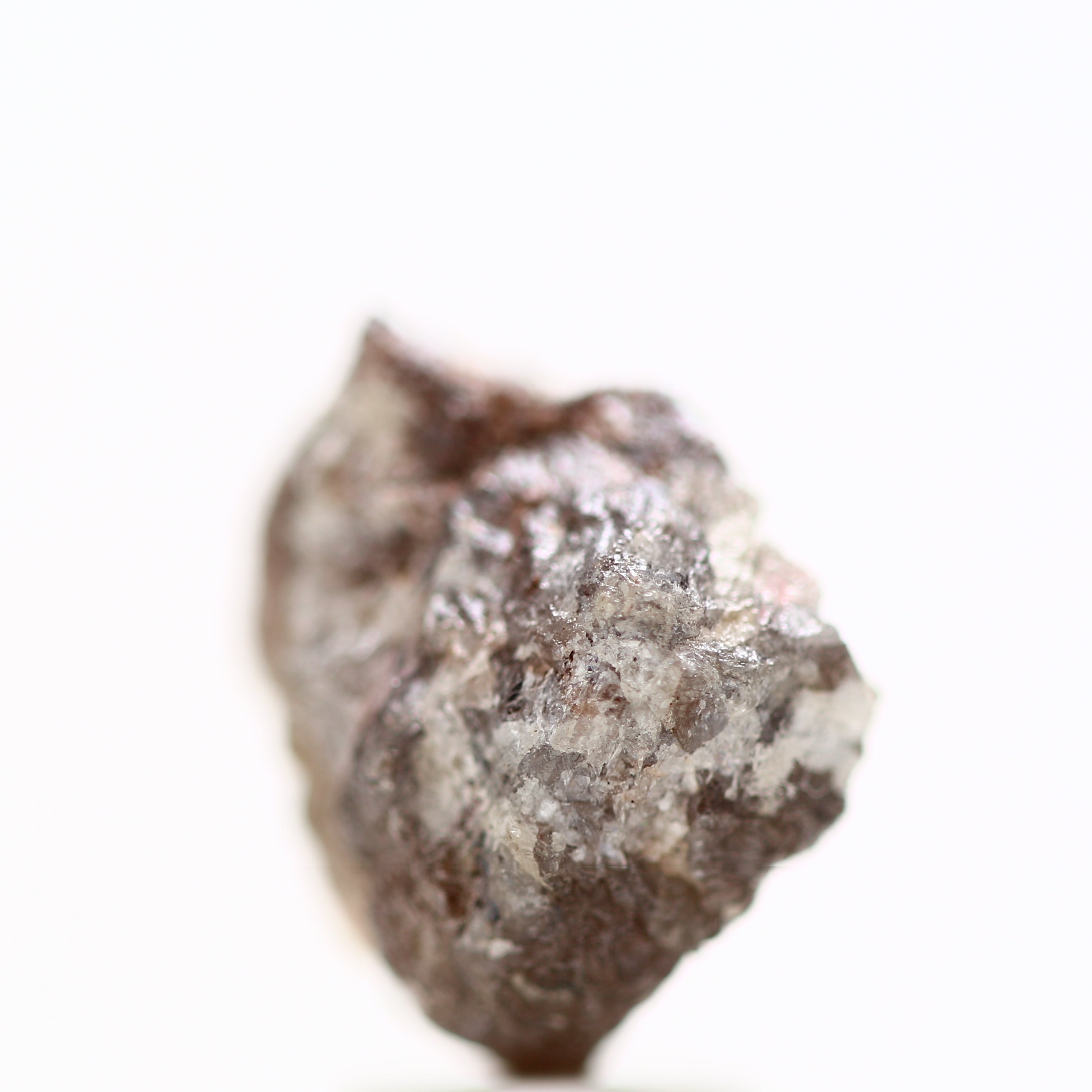 ClariOLED Transparent OLED Display price