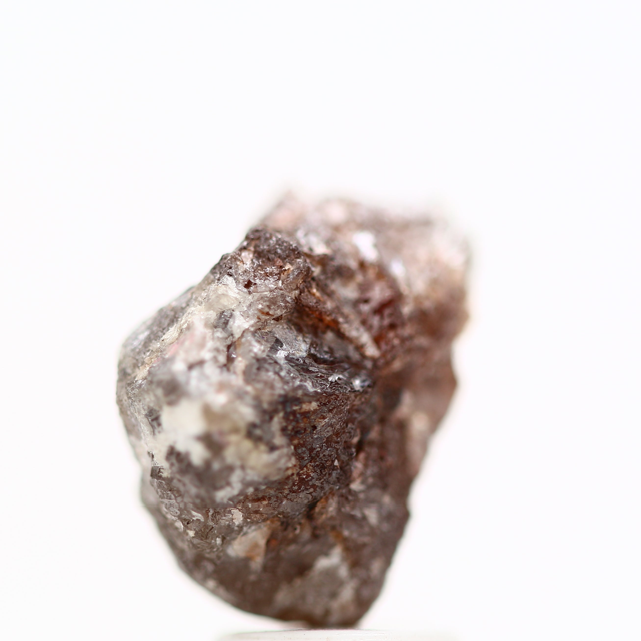 ClariOLED Transparent OLED Display price