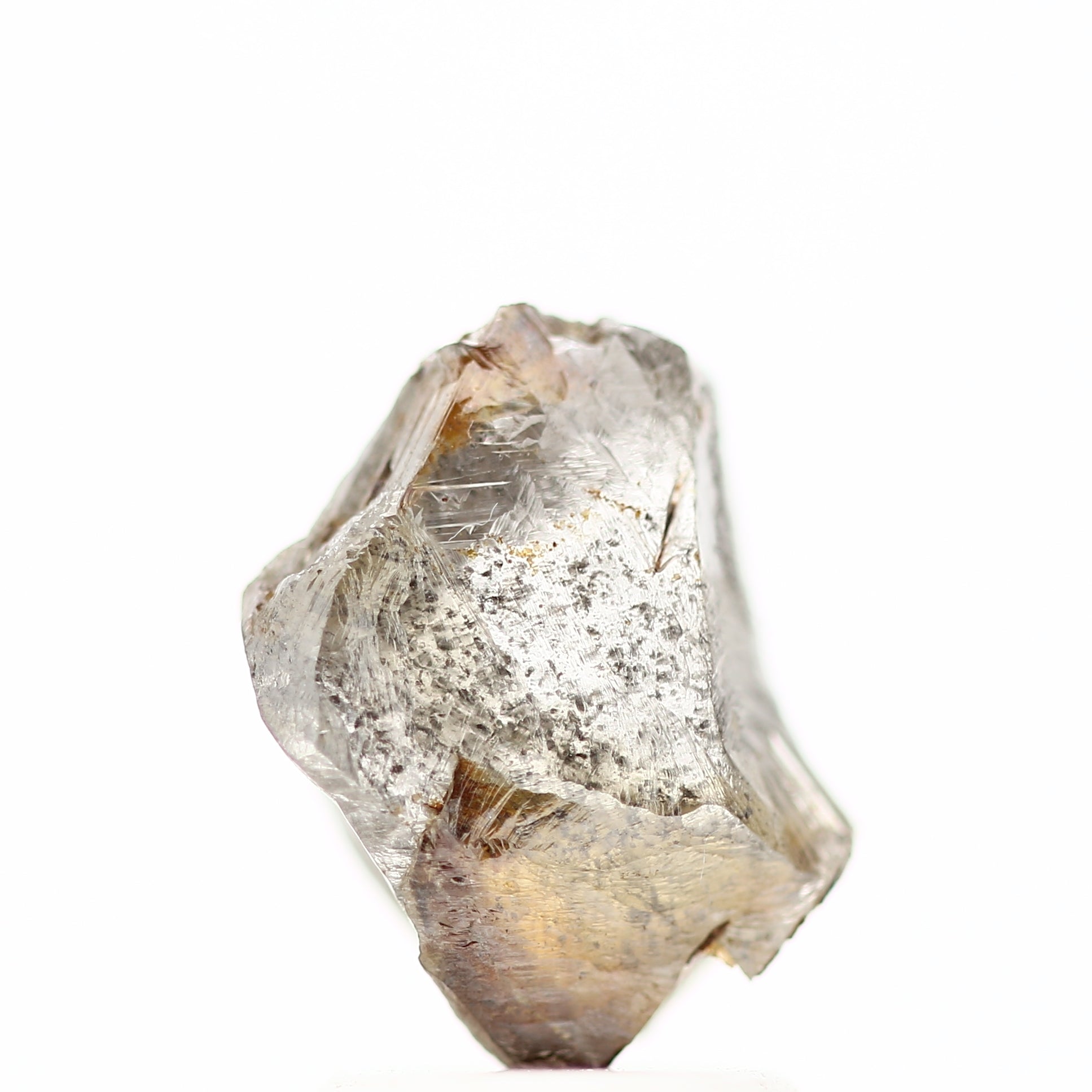 ClariOLED Transparent OLED Display price