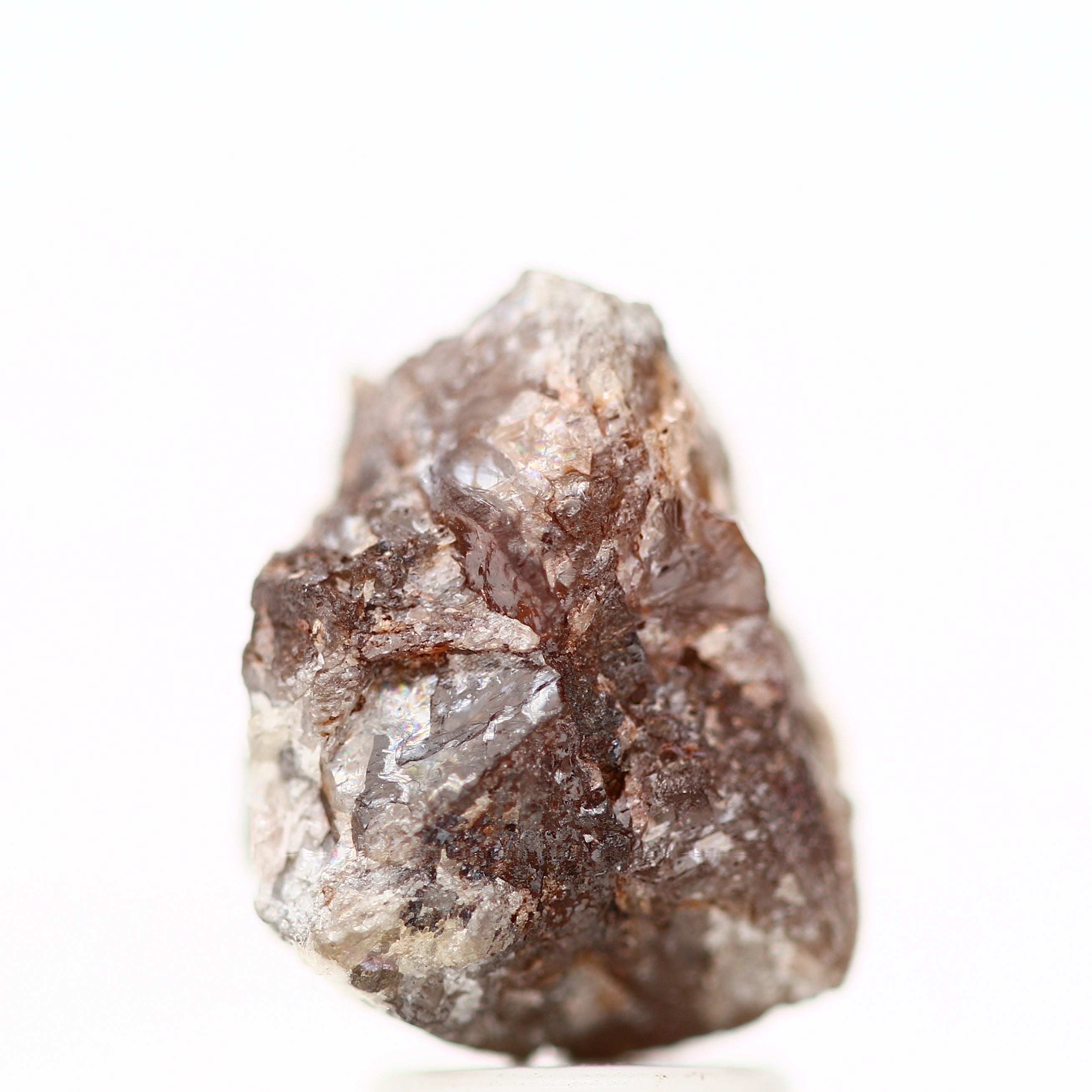 ClariOLED Transparent OLED Display price