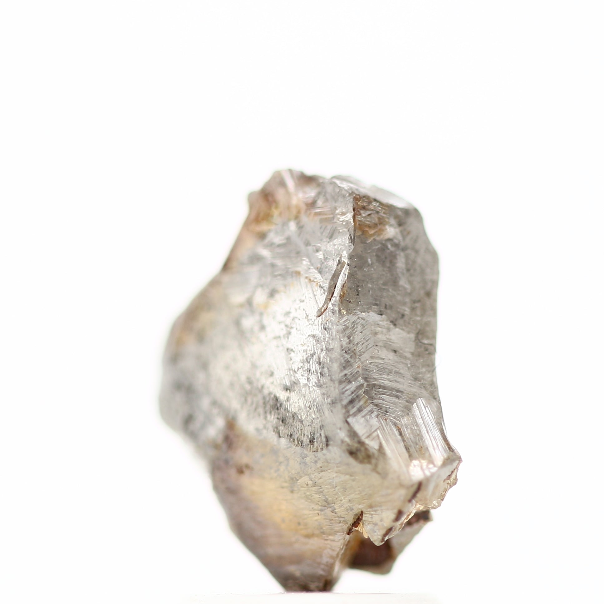 ClariOLED Transparent OLED Display price