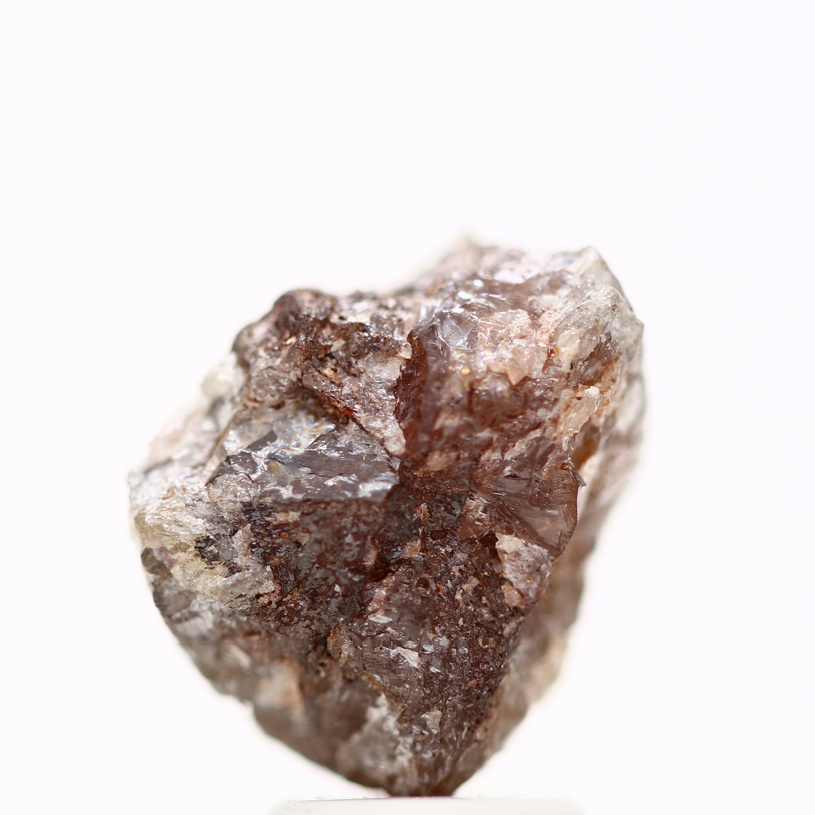 ClariOLED Transparent OLED Display price