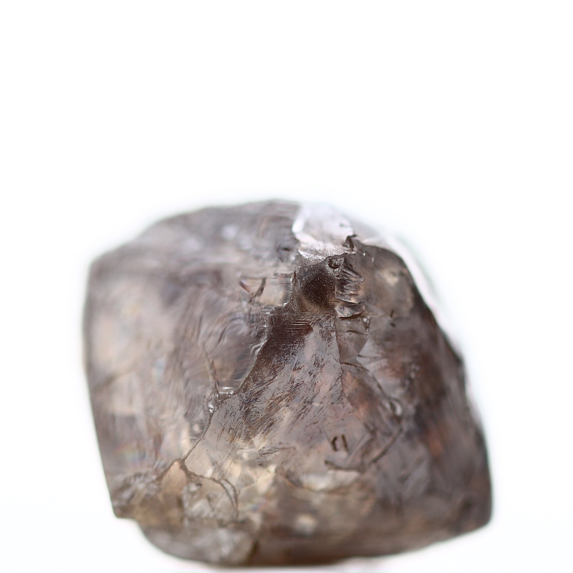 ClariOLED Transparent OLED Display price