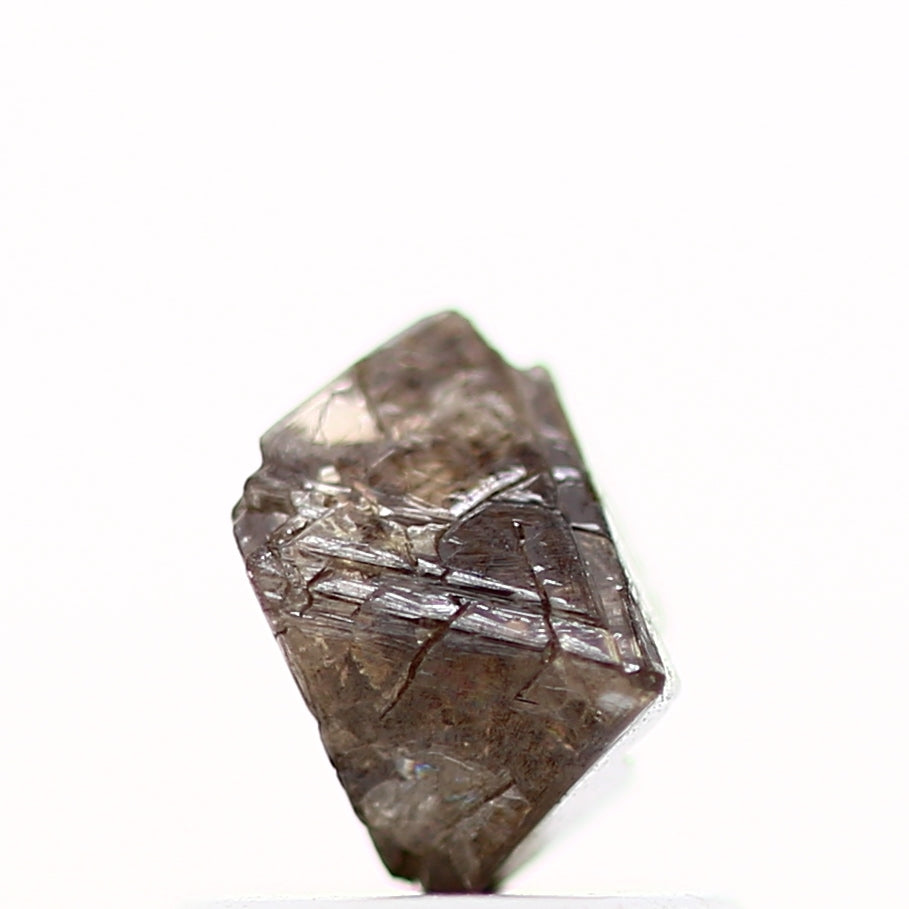 ClariOLED Transparent OLED Display price