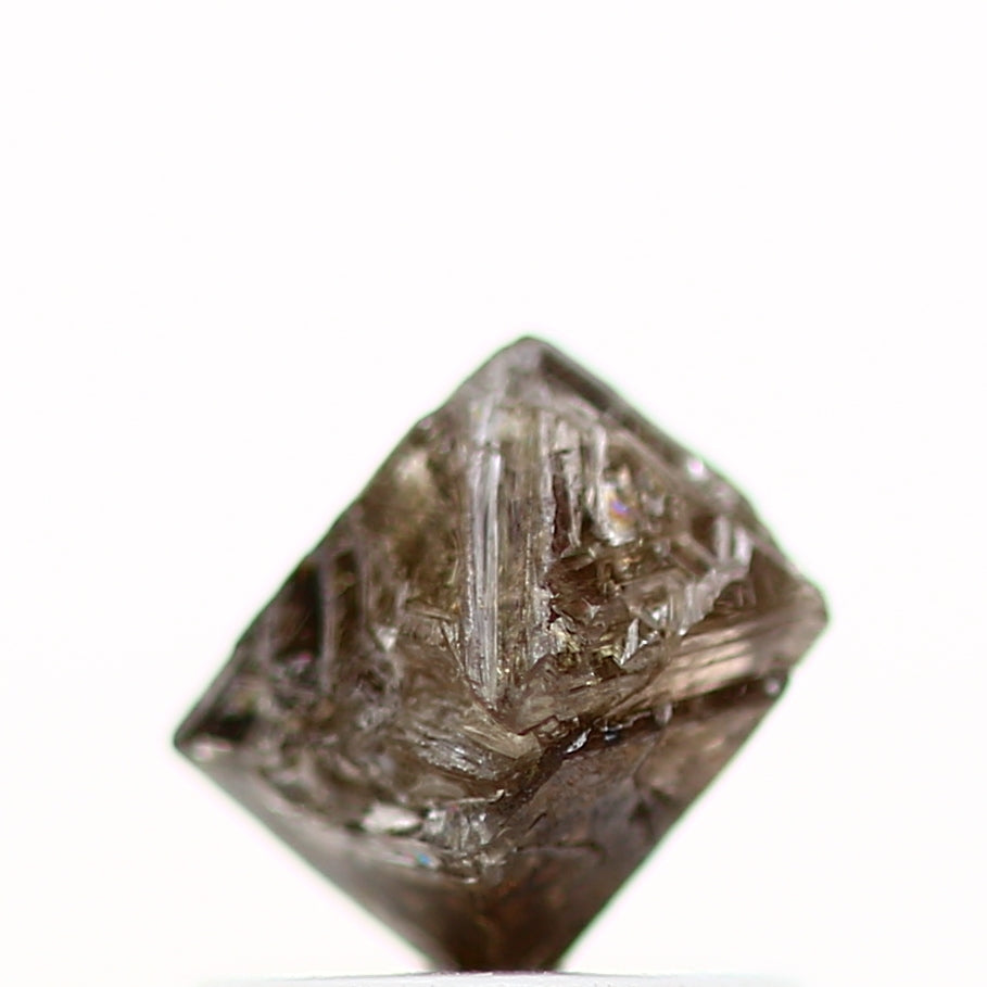 ClariOLED Transparent OLED Display price