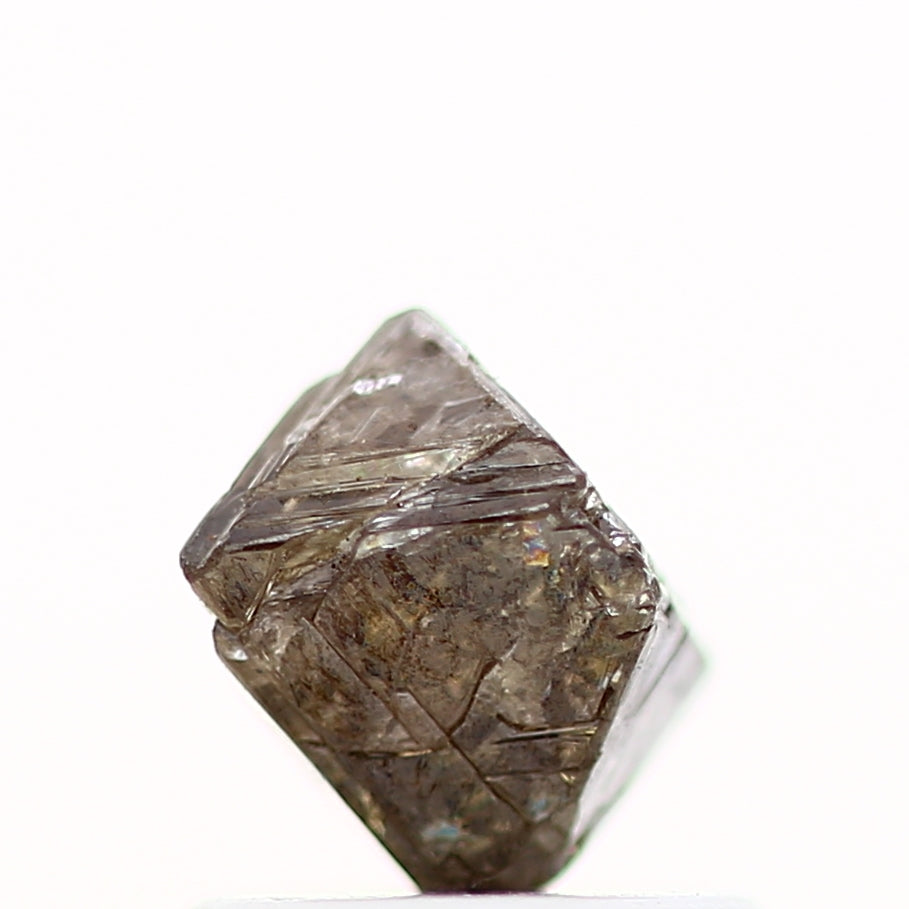 ClariOLED Transparent OLED Display price