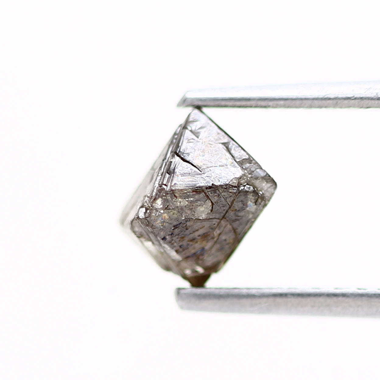 ClariOLED Transparent OLED Display price