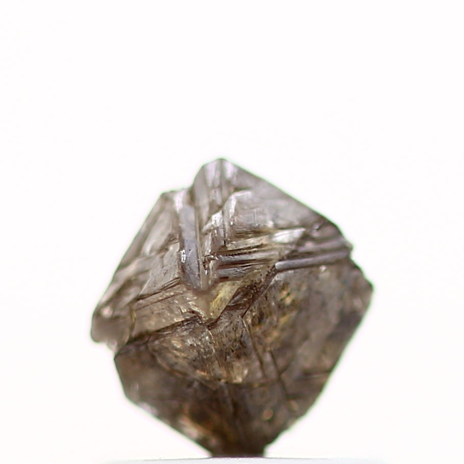 ClariOLED Transparent OLED Display price