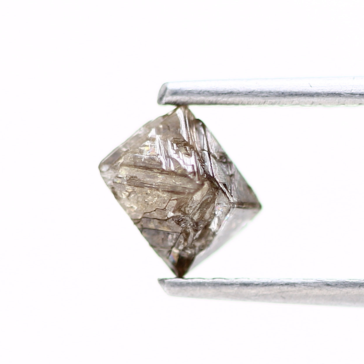 ClariOLED Transparent OLED Display price