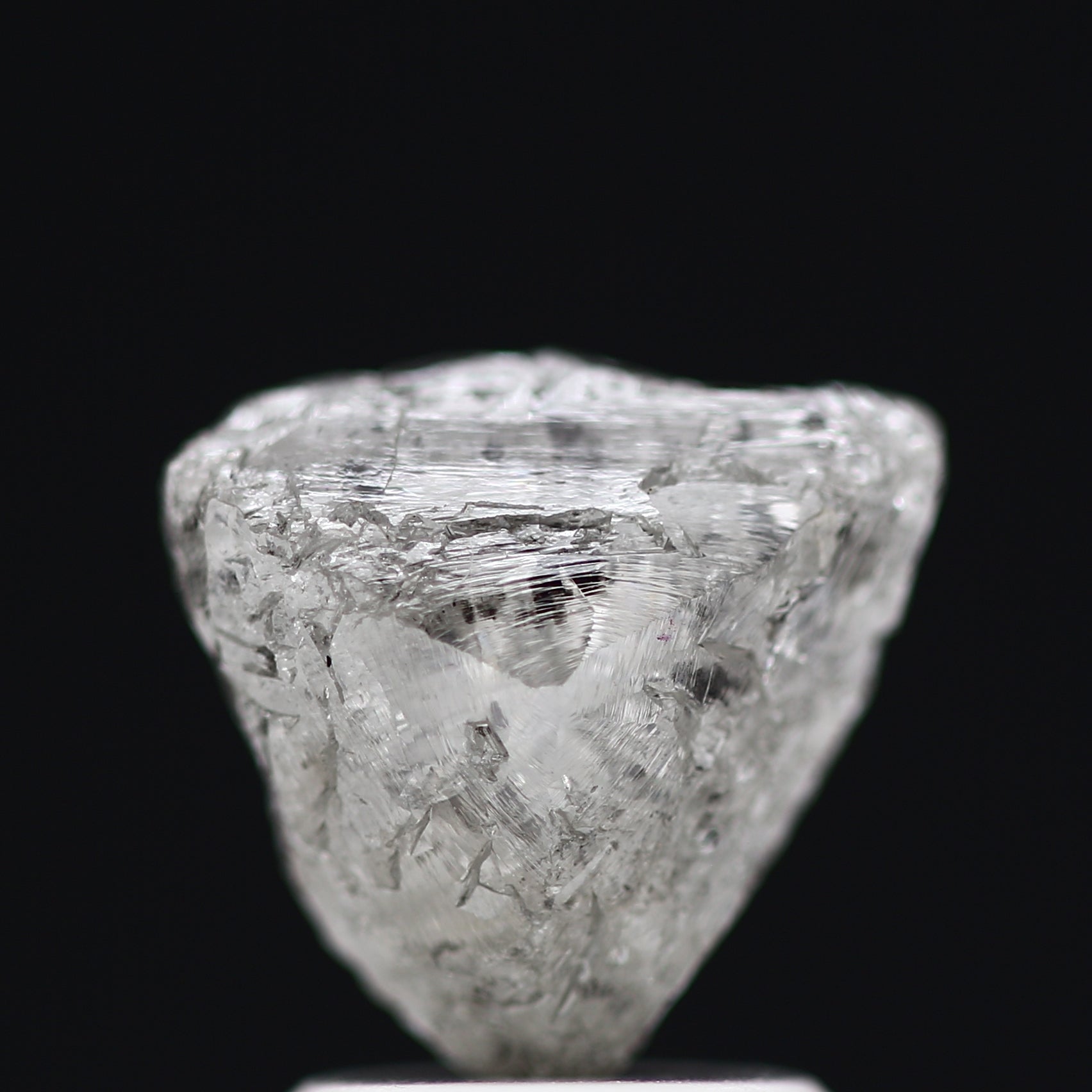 ClariOLED Transparent OLED Display price